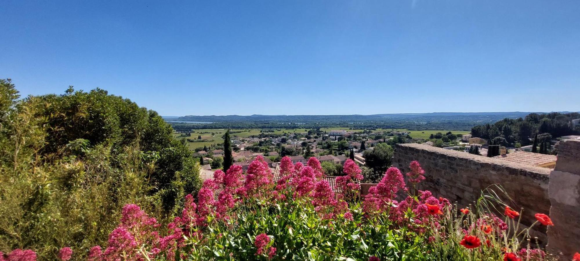 Gite De L'Olivier, Classe, Climatise, Jardin Avec Parking Gratuit Devant Le Logement Et A 5 Minutes Du Centre-Ville A Pied LʼIsle-sur-la-Sorgue Eksteriør bilde